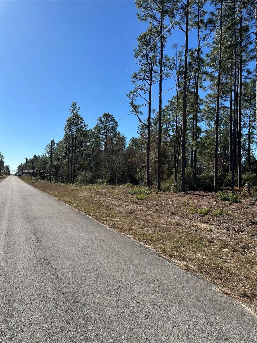 00 SW 209th AVE, Other City - In The State Of Florida, FL 34431 photo 5
