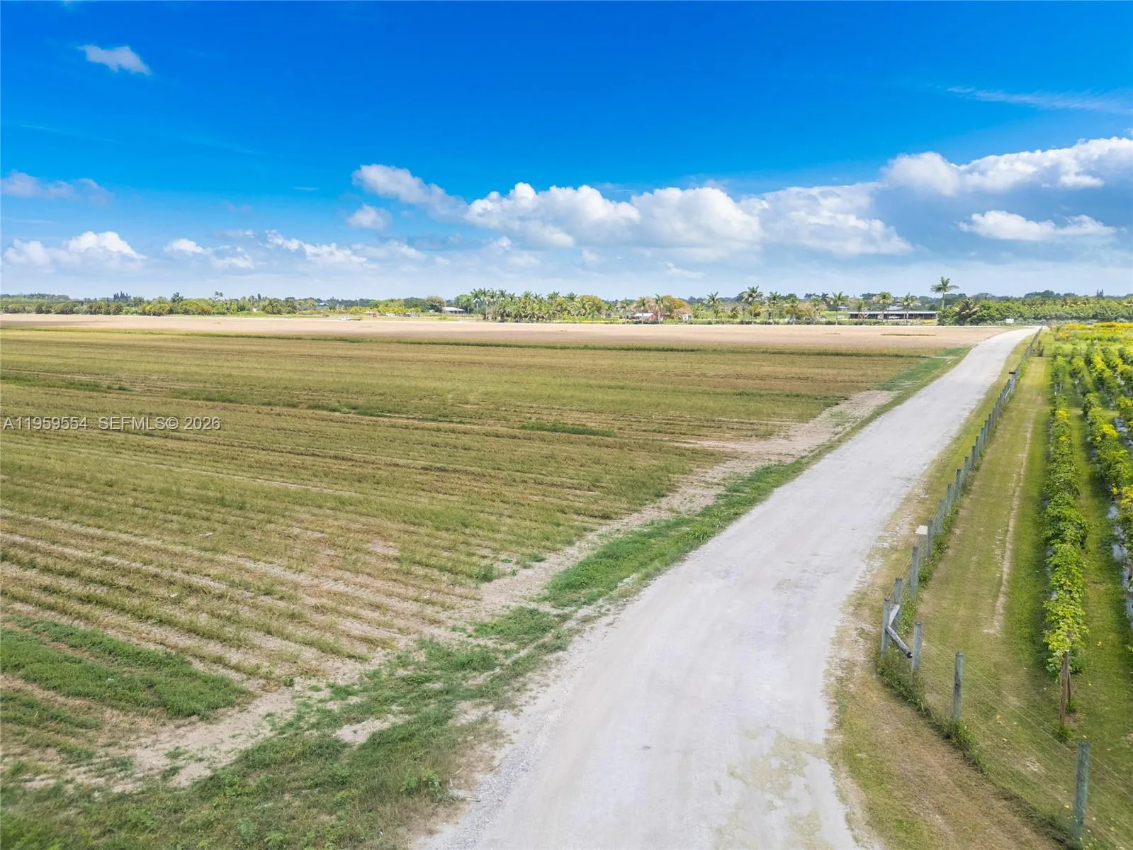 224XX sw 217 ave, Miami, FL 33170 photo 8