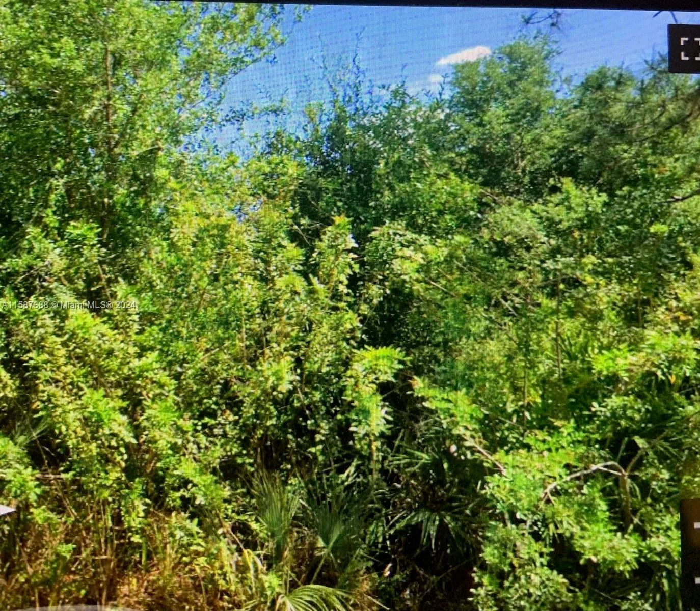 1506 State Ave, Lehigh Acres, FL 33972 photo 3