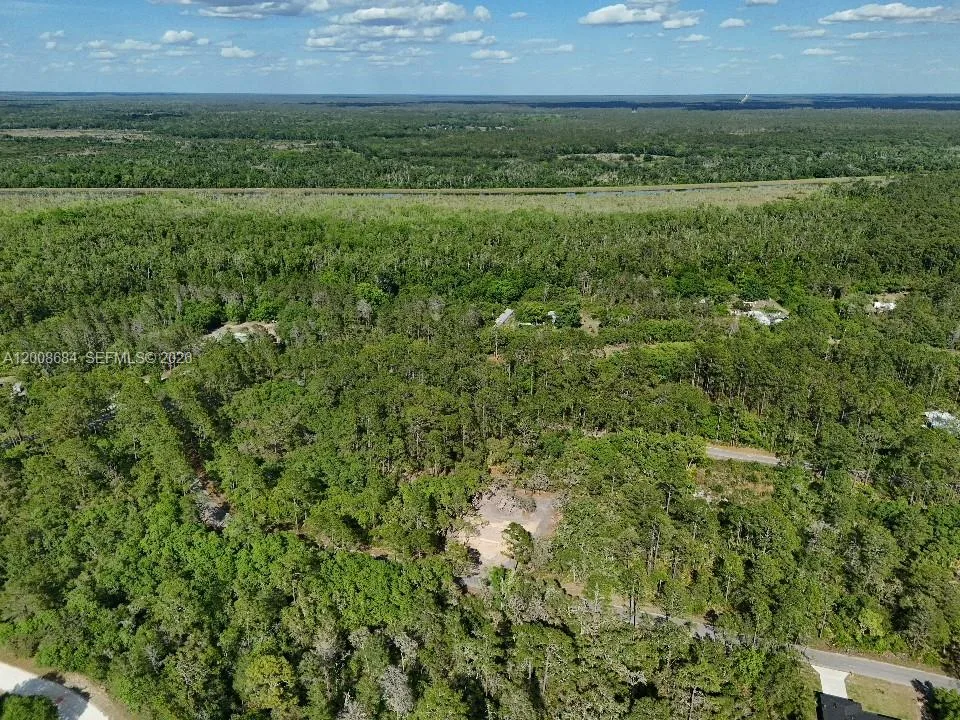 0 Fisher Trace Dr, Other City - In The State Of Florida, FL 32179 photo 6