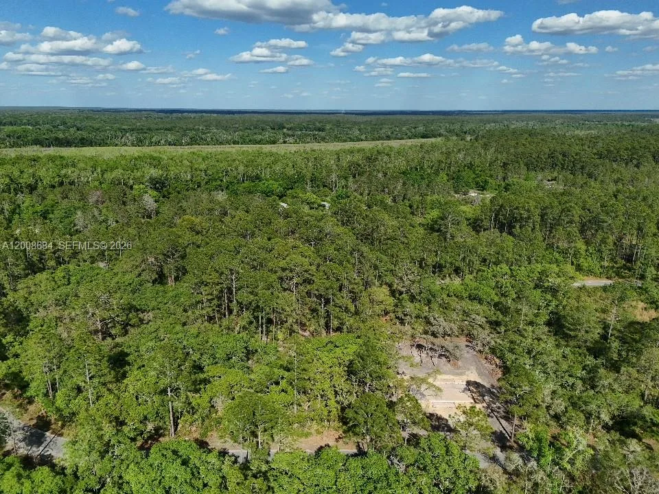 0 Fisher Trace Dr, Other City - In The State Of Florida, FL 32179 photo 9