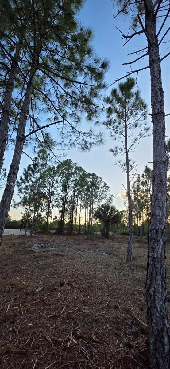 17975 NW 298 st, Okeechobee, FL 34972 photo 10