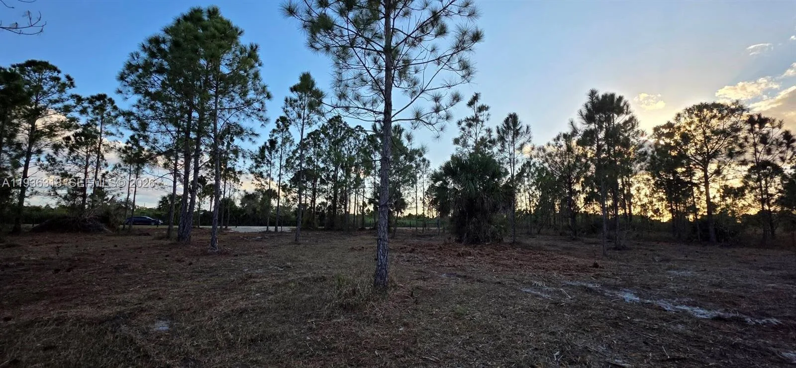 17975 NW 298 st, Okeechobee, FL 34972 photo 11