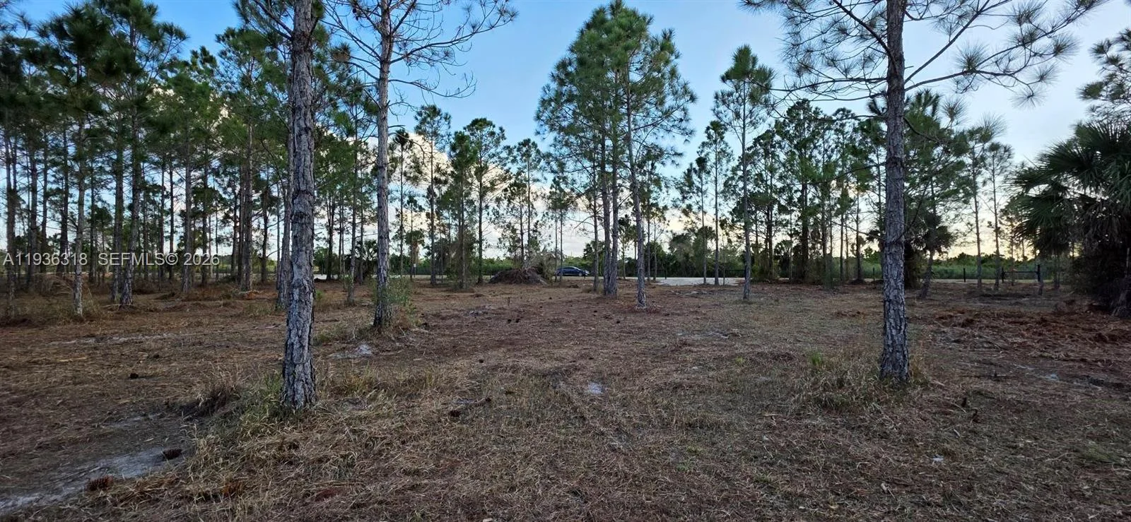 17975 NW 298 st, Okeechobee, FL 34972 photo 12