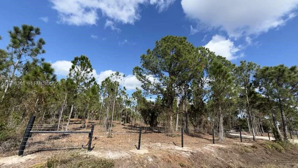17975 NW 298 st, Okeechobee, FL 34972 photo 2