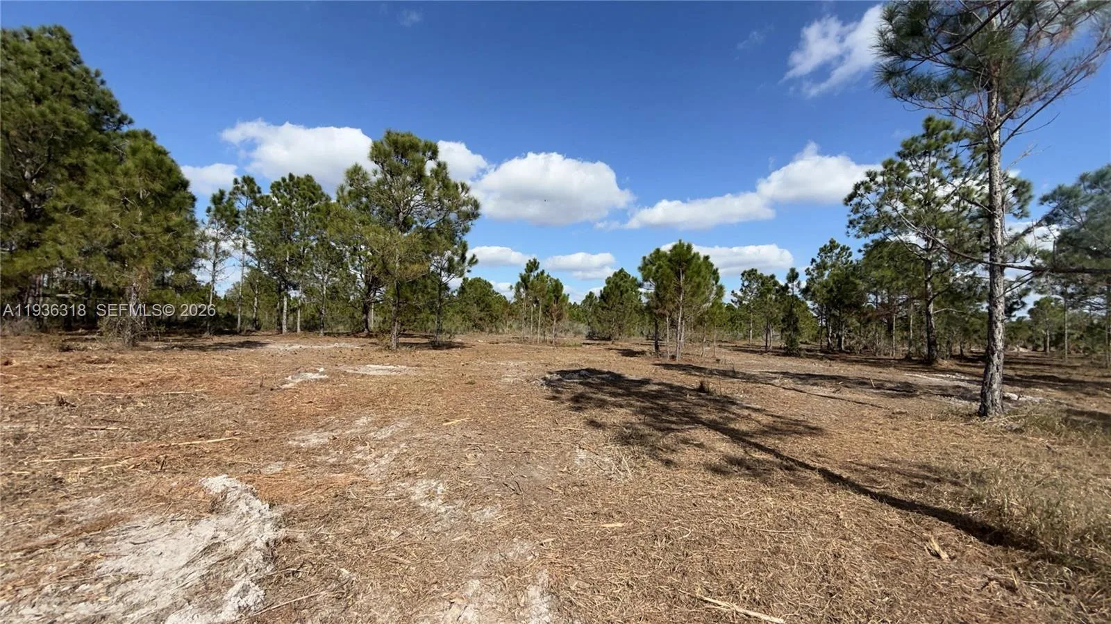 17975 NW 298 st, Okeechobee, FL 34972 photo 3