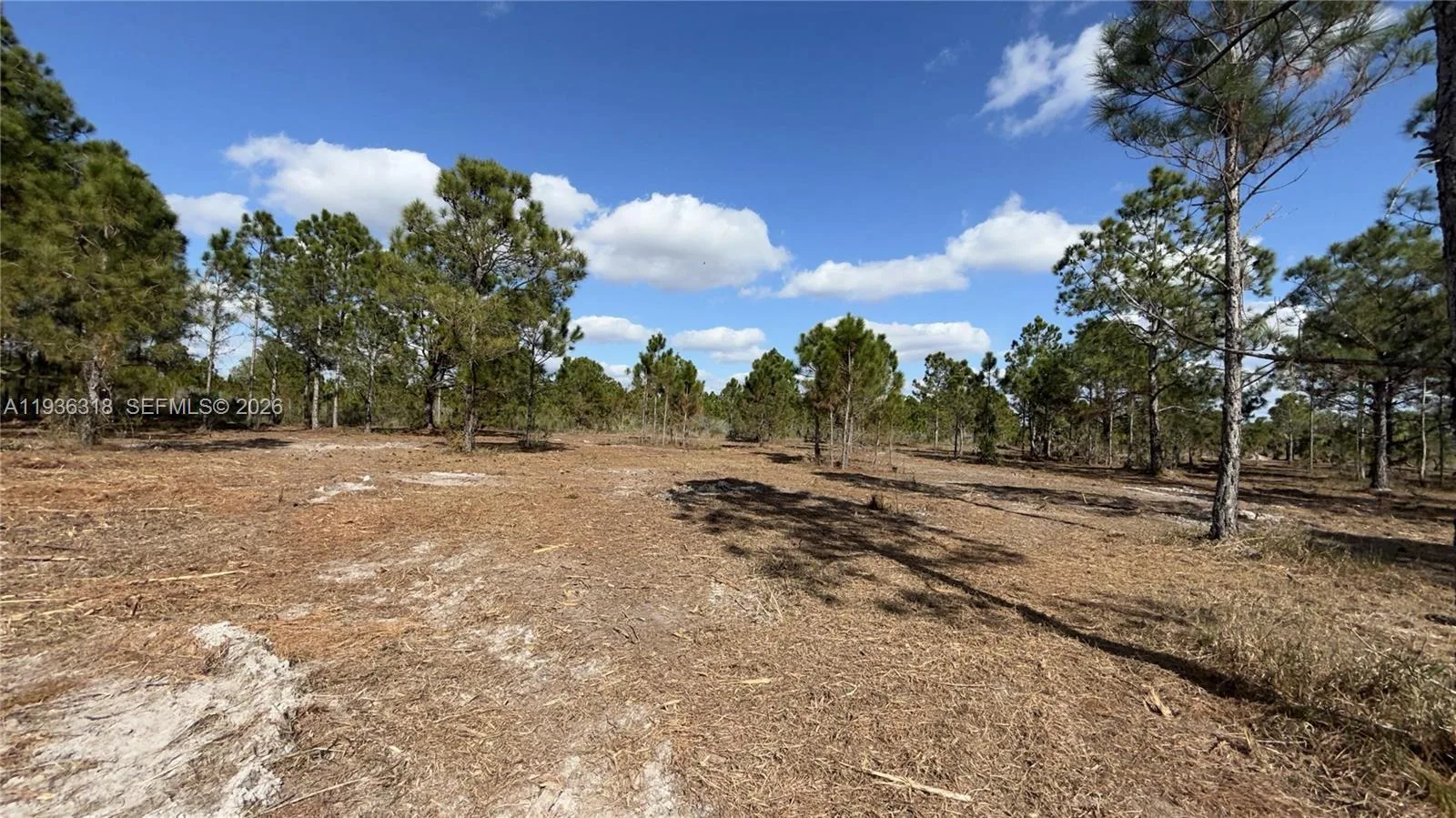 17975 NW 298 st, Okeechobee, FL 34972 photo 4