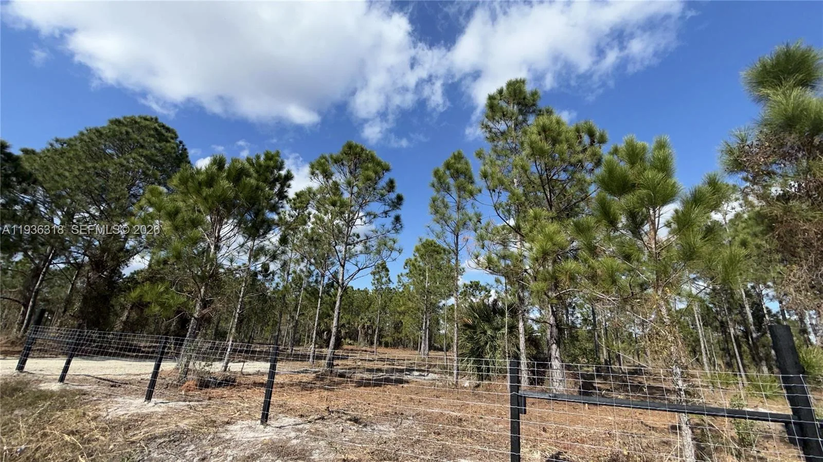 17975 NW 298 st, Okeechobee, FL 34972 photo 5