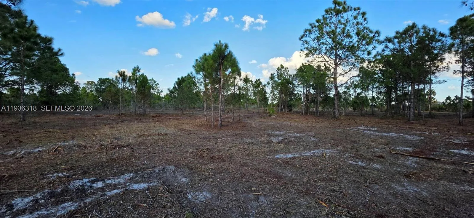 17975 NW 298 st, Okeechobee, FL 34972 photo 6