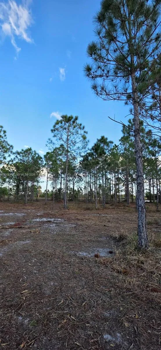 17975 NW 298 st, Okeechobee, FL 34972 photo 7