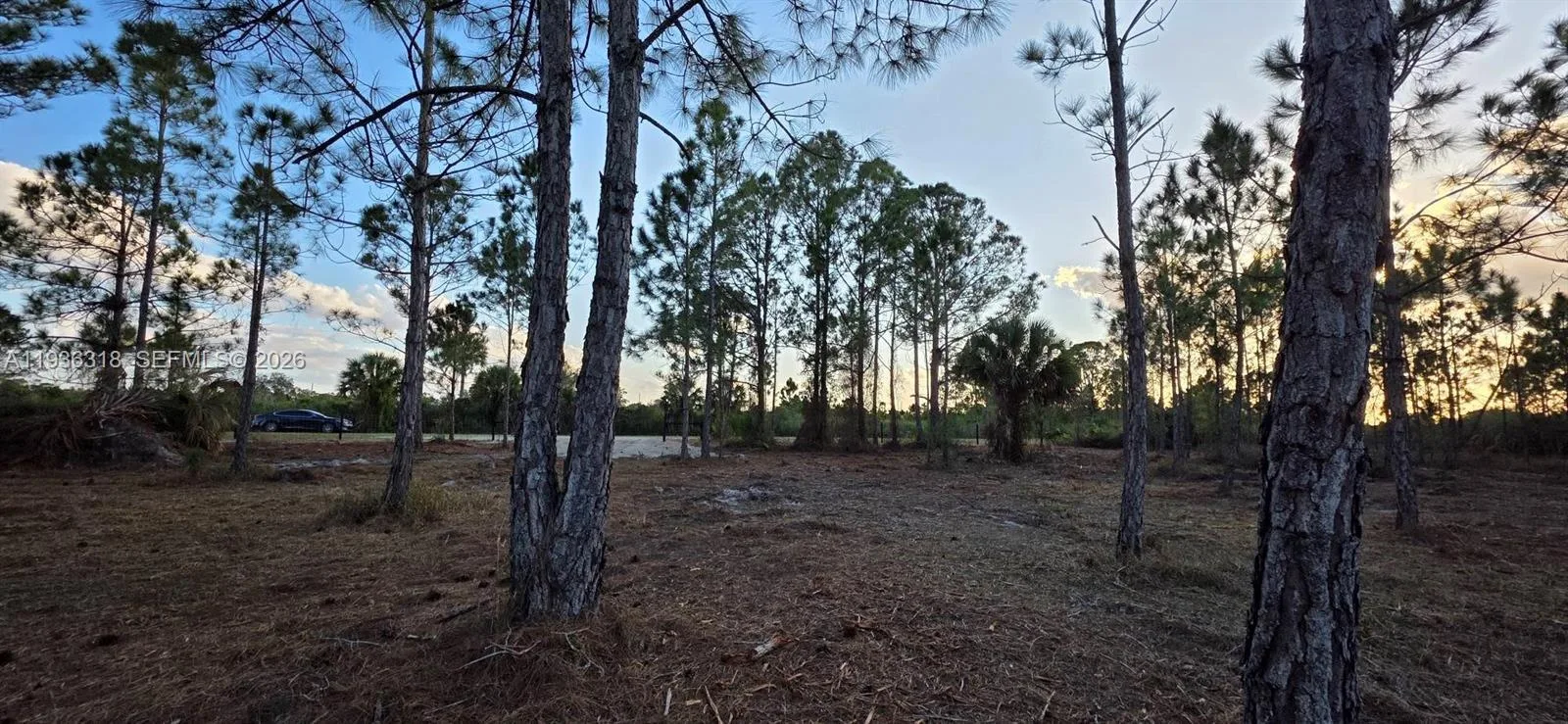 17975 NW 298 st, Okeechobee, FL 34972 photo 8