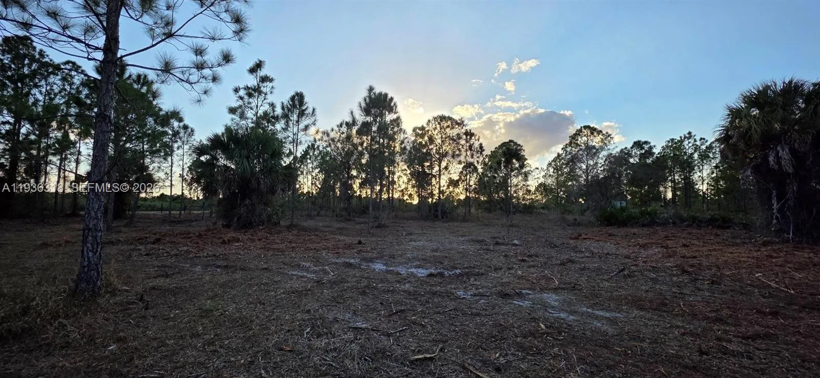 17975 NW 298 st, Okeechobee, FL 34972 photo 9
