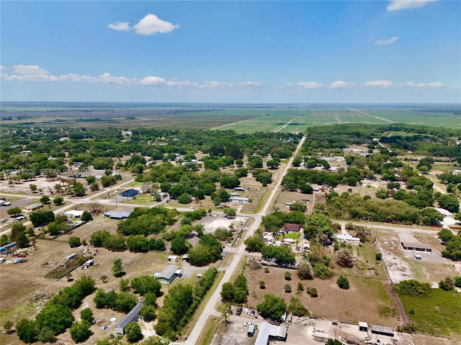 242 BALD CYPRESS AVE, Clewiston, FL 33440 photo 6