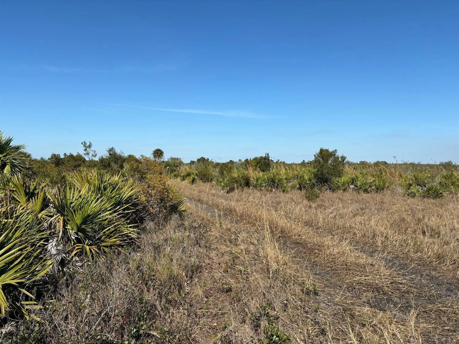 0 NW 316th Street, Okeechobee, FL 34972