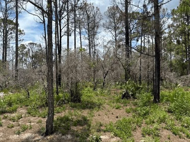 0 Claverton Drive, Lake Placid, FL 33852