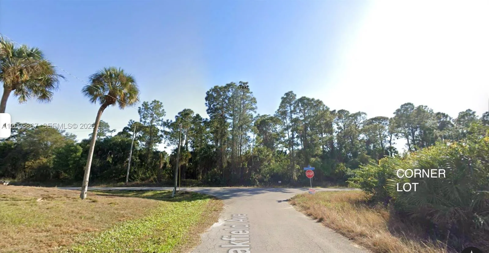 542 OAKFIELD AVE, Lehigh Acres, FL 33974 photo 8