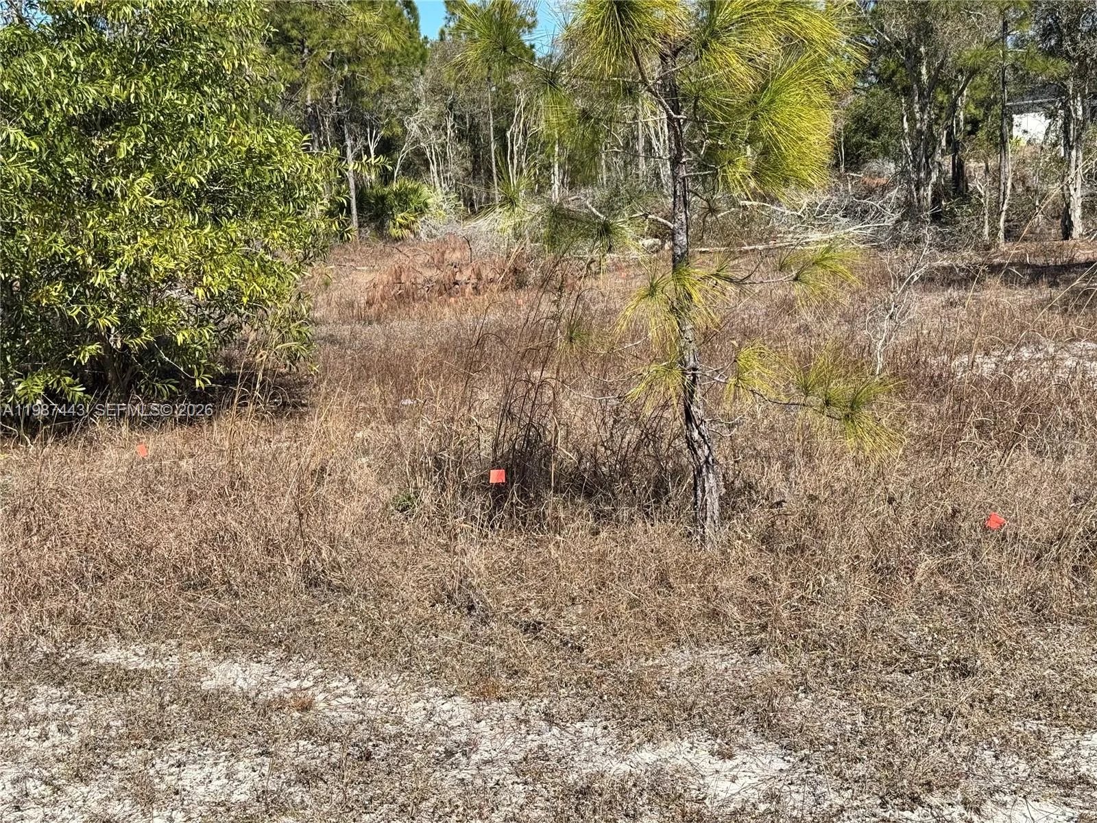 761 Lehigh Acres, Lehigh Acres, FL 33974 photo 4