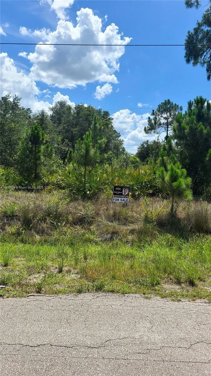 817 Lincoln Avenue, Lehigh Acres, FL 33972