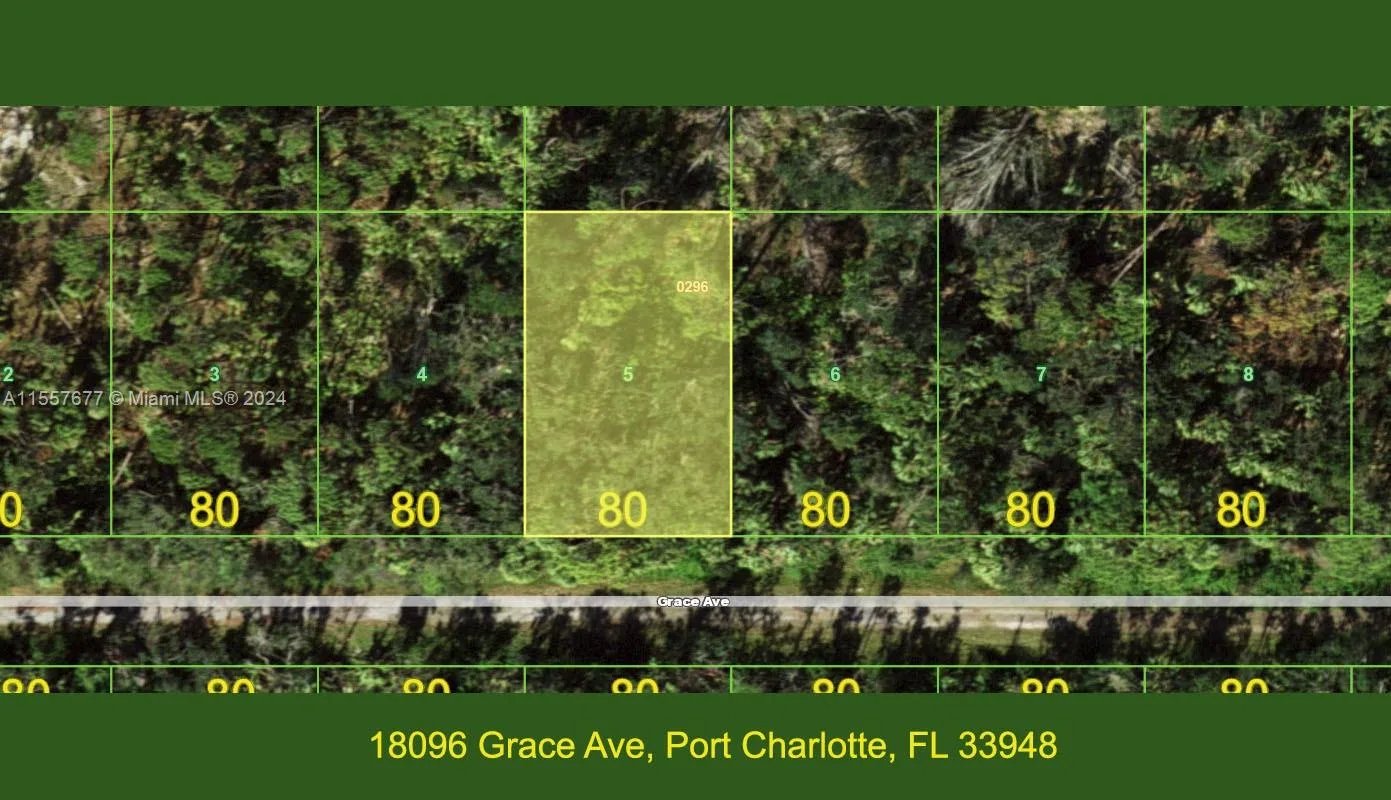 18096 Grace Ave, Port Charlotte, FL 33948 photo 2