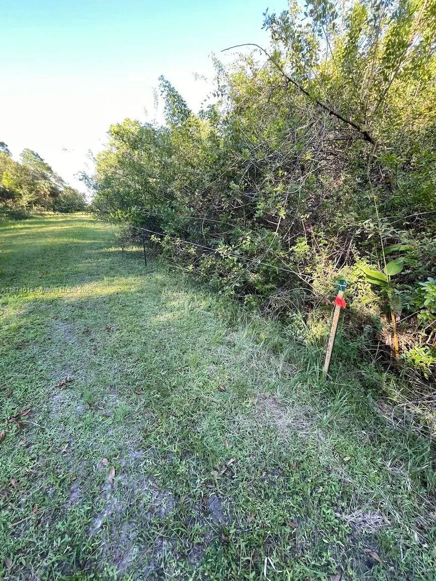 635 S Estribo St, Clewiston, FL 33440 photo 5