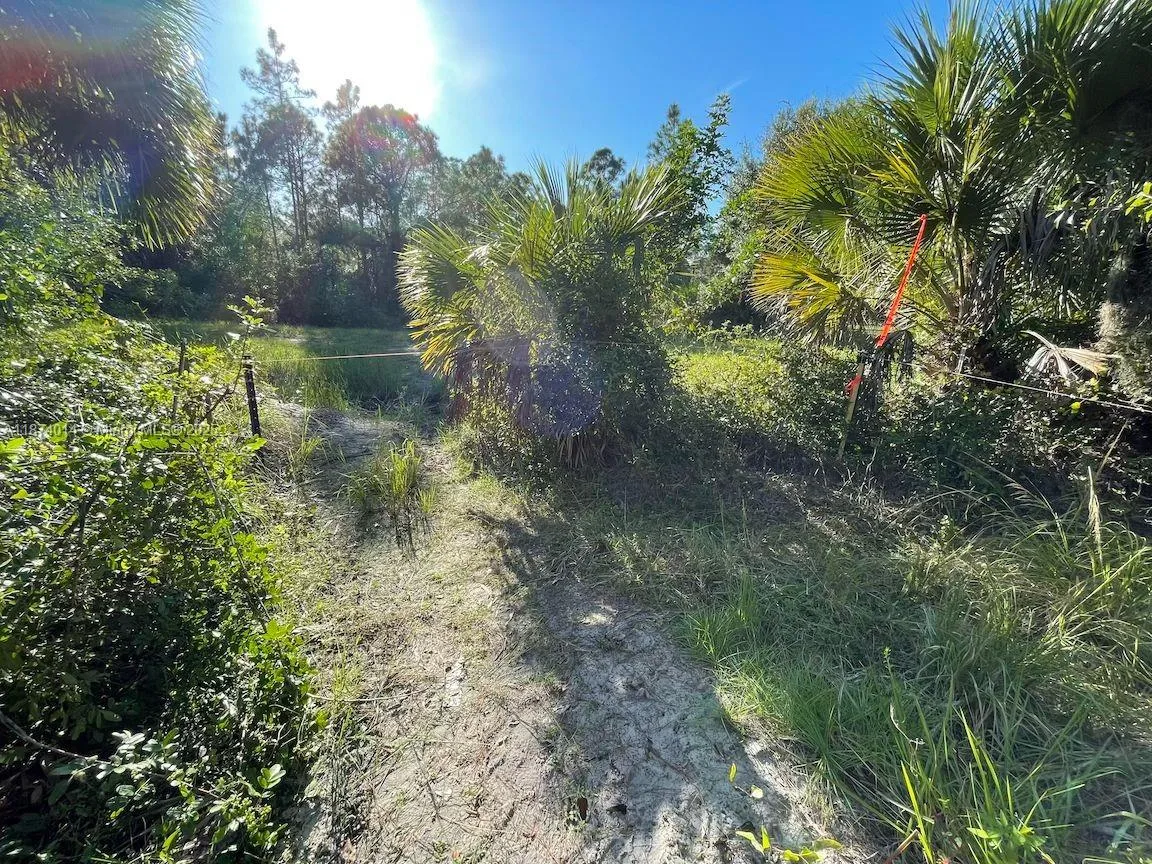 635 S Estribo St, Clewiston, FL 33440 photo 9