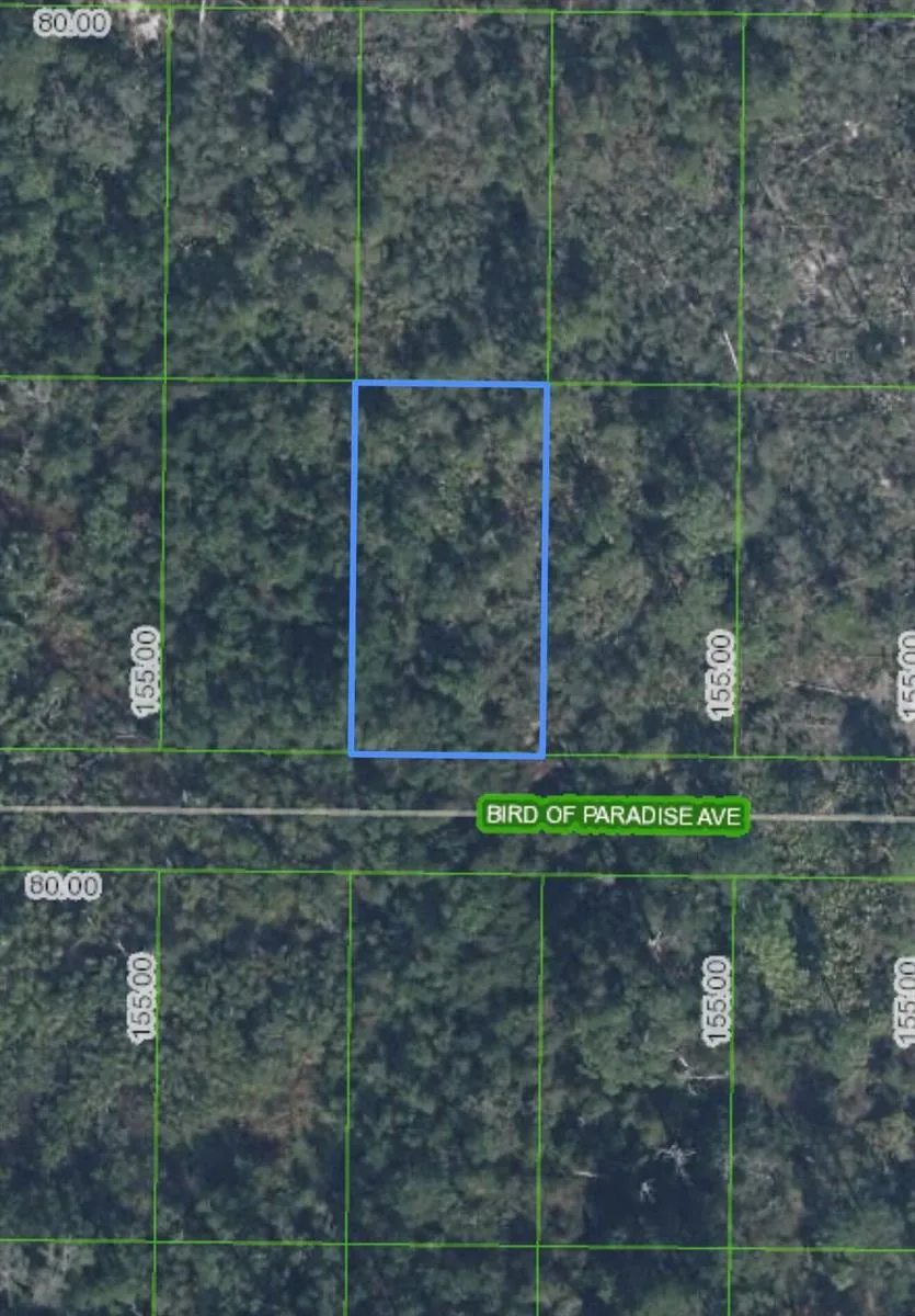 2330 Bird Of Paradise Avenue, Sebring, FL 33875