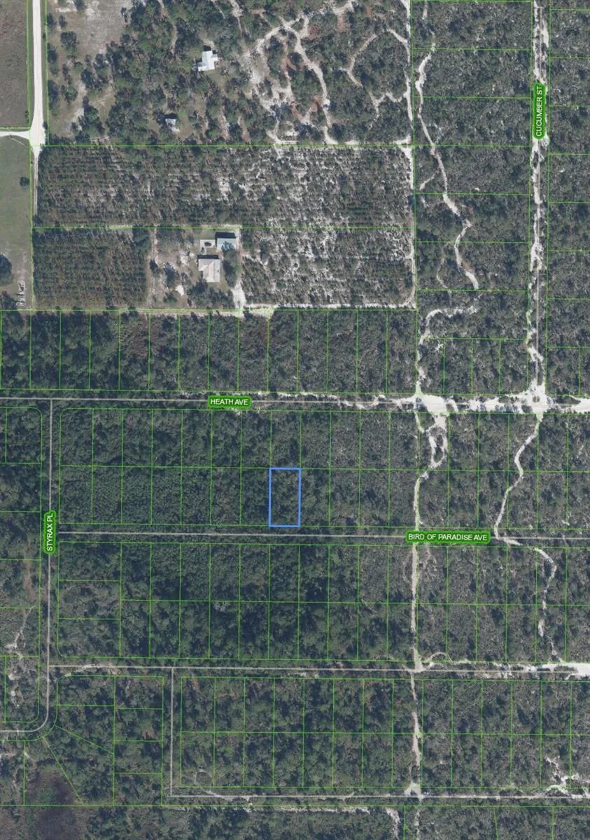 2330 Bird Of Paradise Avenue, Sebring, FL 33875 photo 3