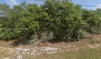 331 N W Baker, Citrus Springs, FL 34434