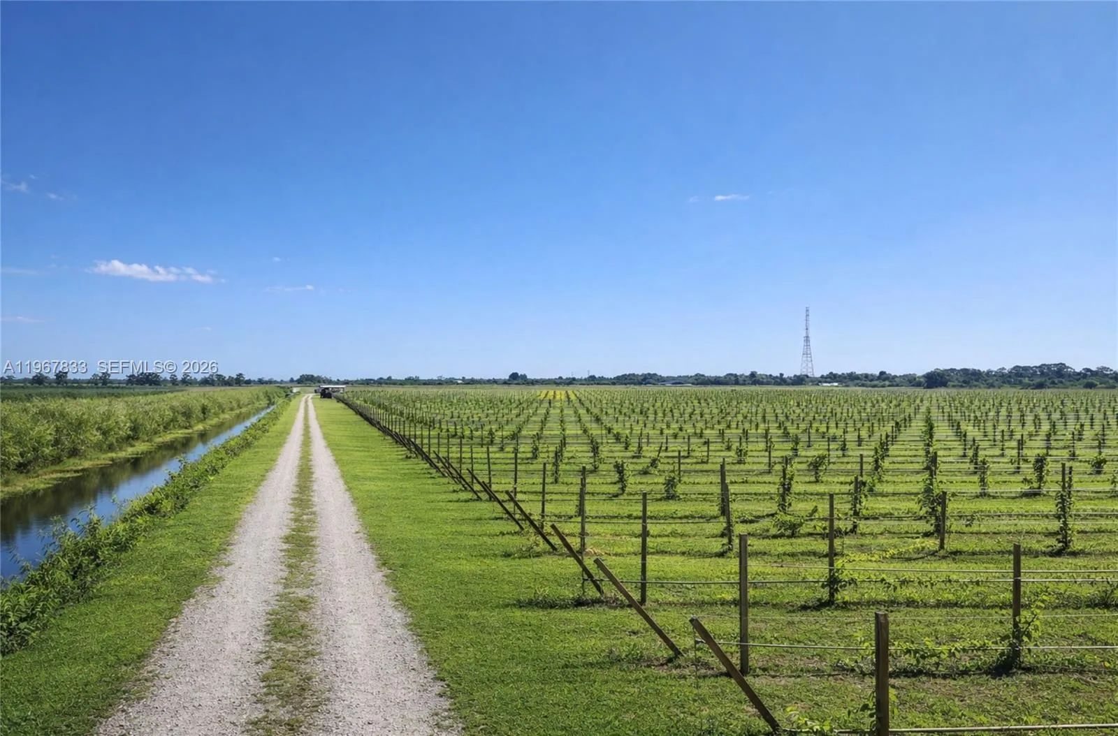 595 N HEADER CANAL ROAD # 0, Fort Pierce, FL 34945 photo 3