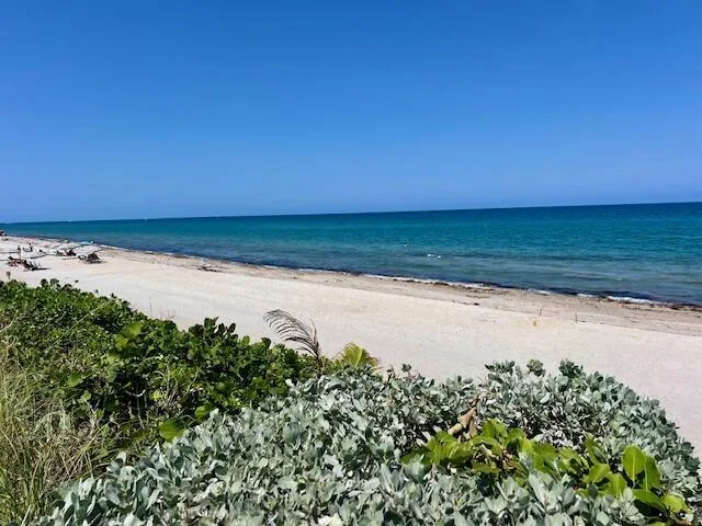 1155 Hillsboro Mile # 403, Hillsboro Beach, FL 33062 photo 9