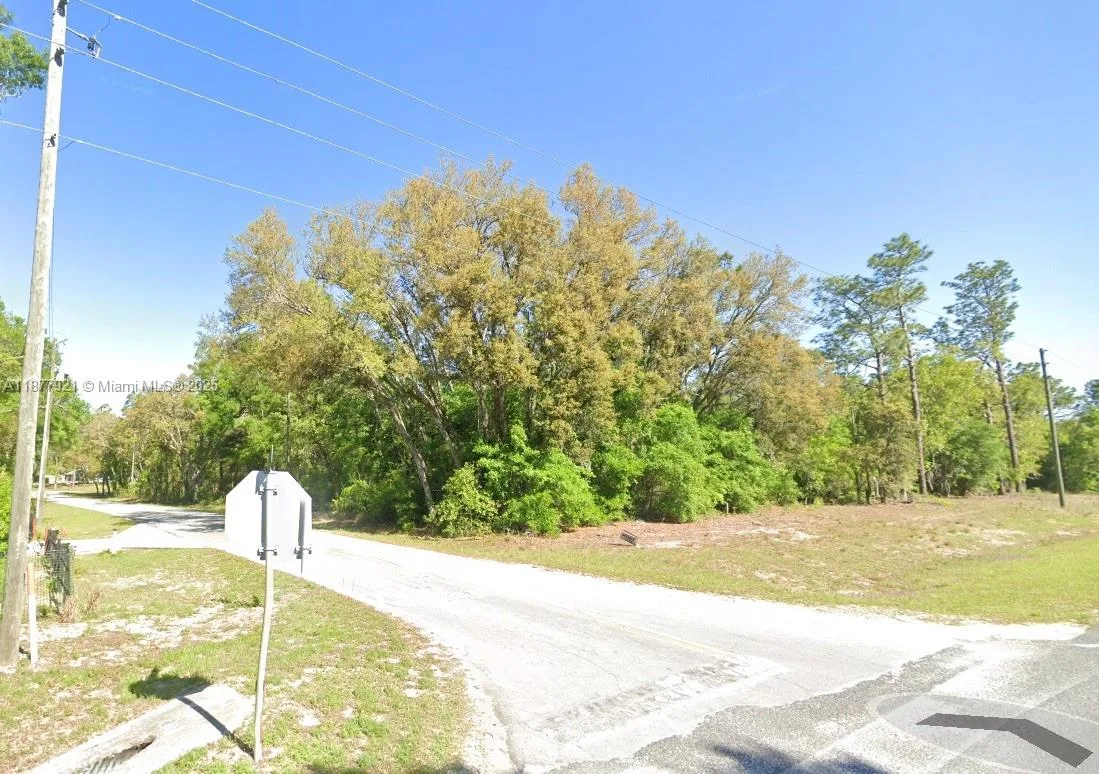 Lot 2 NE 1st Street, Williston, FL 32696
