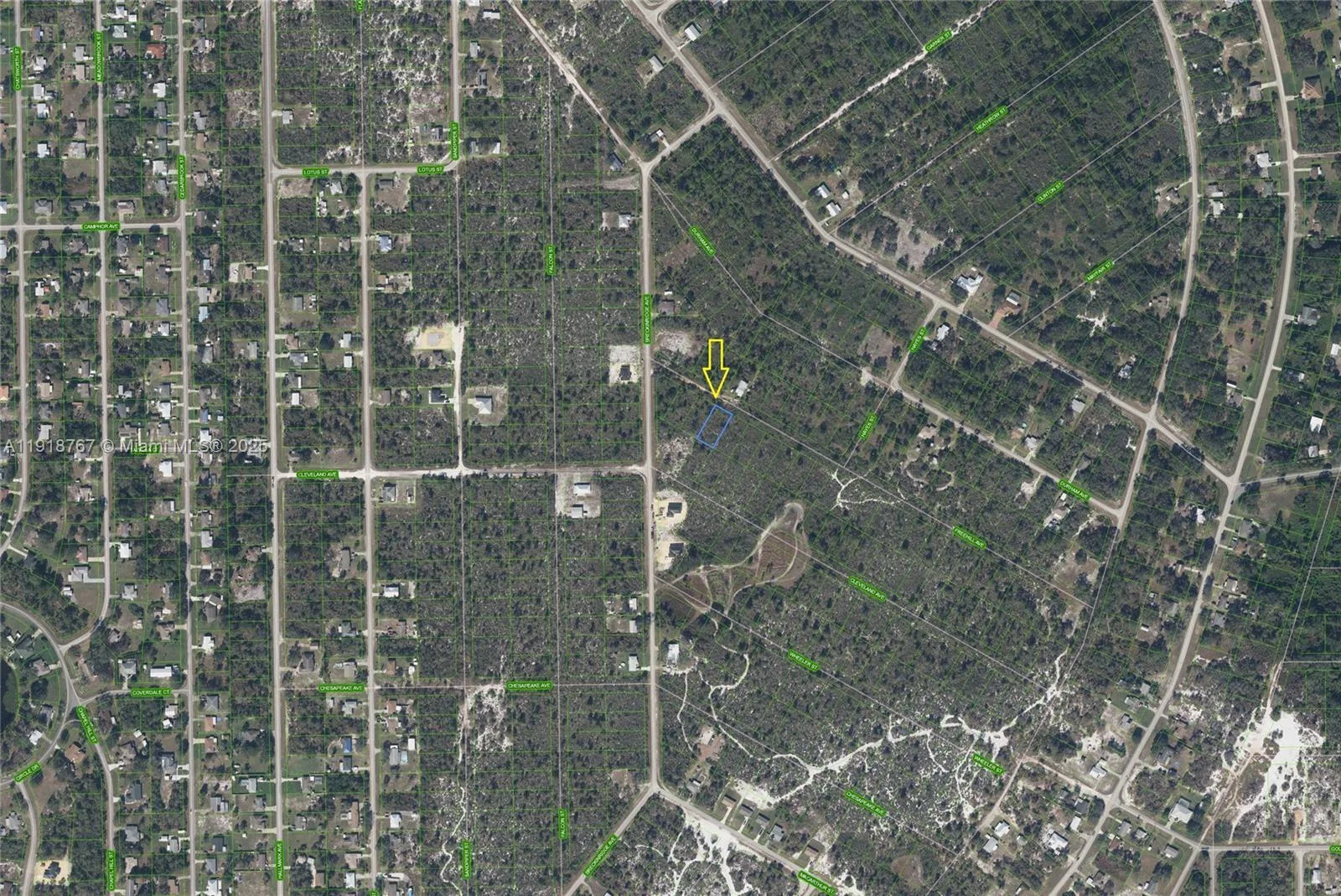 1027 FREEHILL AVE, Lake Placid, FL 33071 photo 2