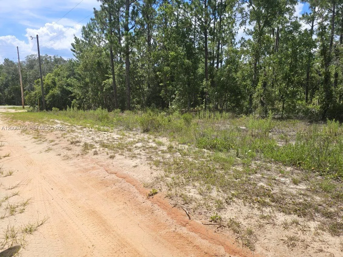 136 Utah ST, Palatka, FL 32640 photo 2