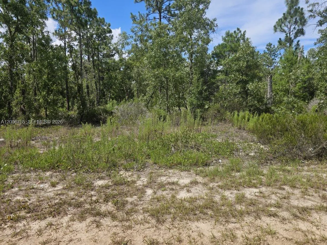 136 Utah ST, Palatka, FL 32640 photo 3
