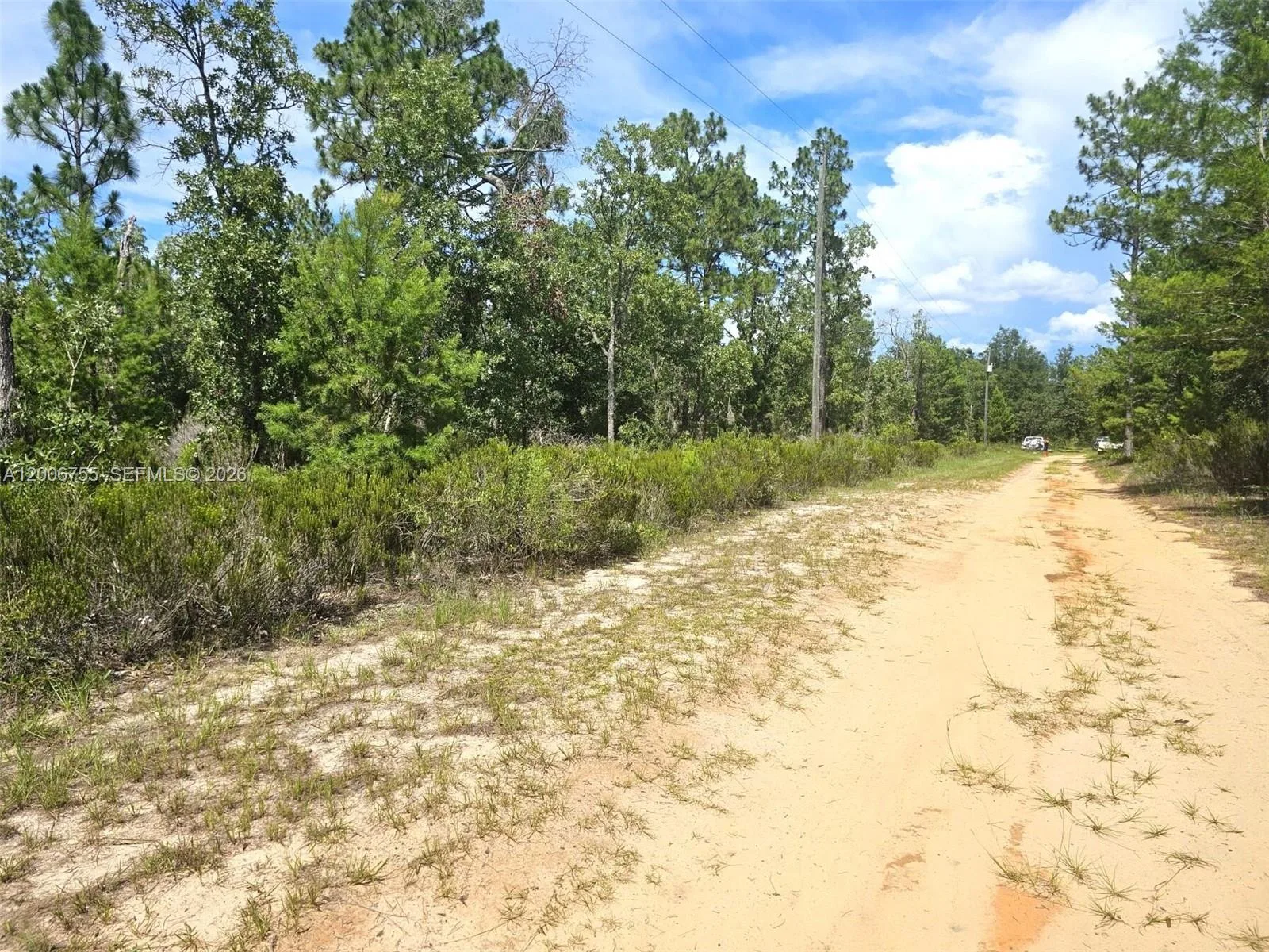 136 Utah ST, Palatka, FL 32640 photo 4