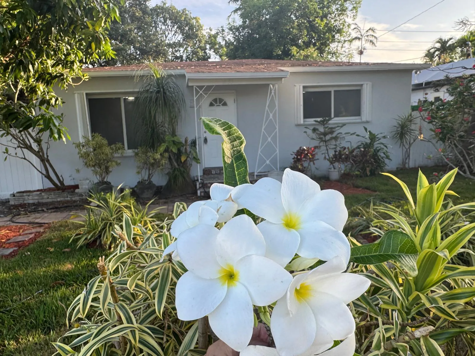 1635 NE 160th Street, North Miami Beach, FL 33162