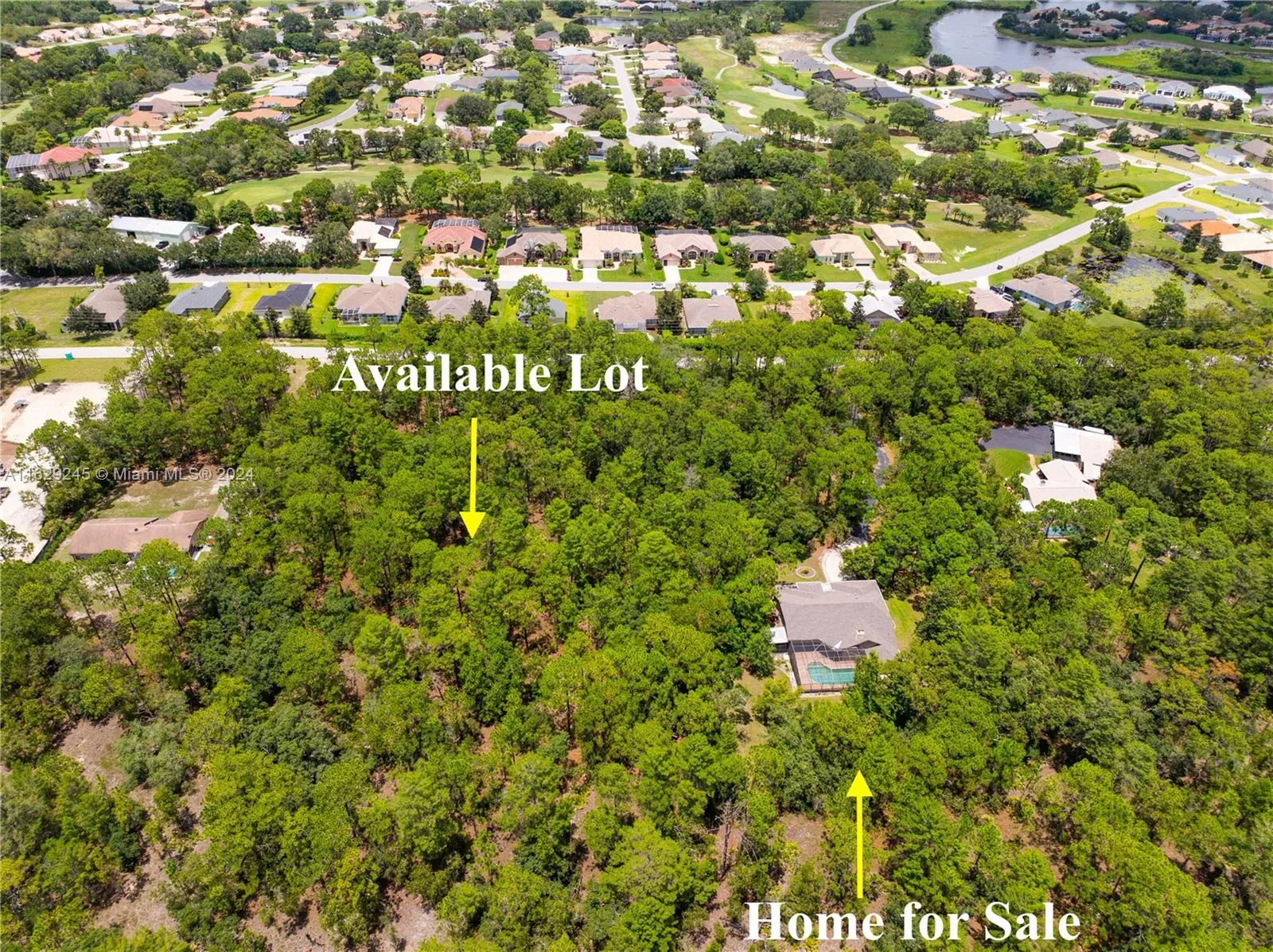 9020 Birmingham Ave, Other City - In The State Of Florida, FL 34613 photo 4