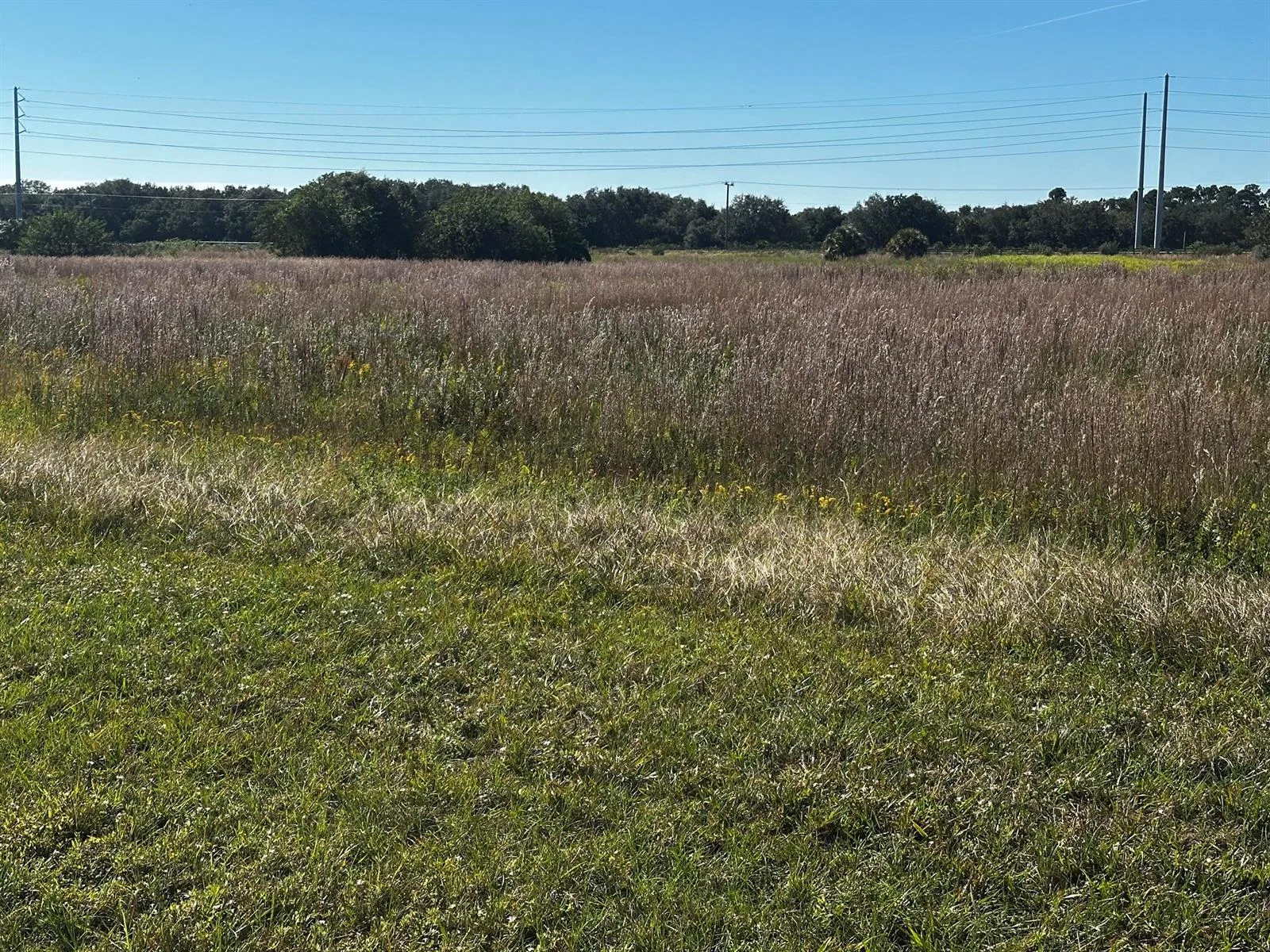 6674 SE 33rd Terrace, Okeechobee, FL 34974 photo 5