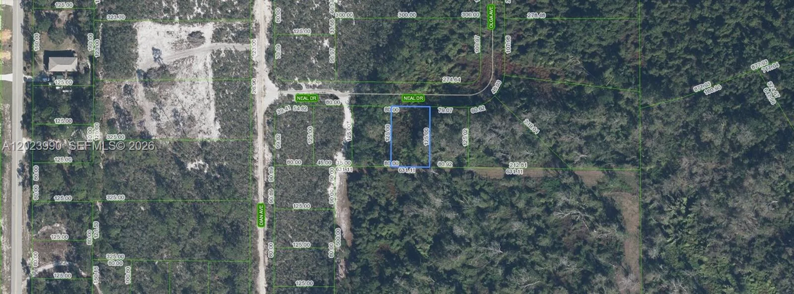 817 Neal, Sebring, FL 33875