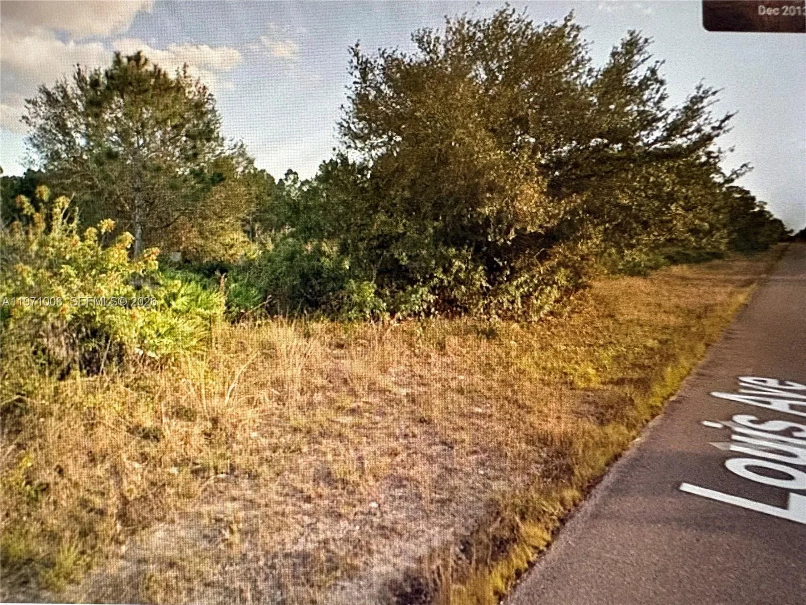 1320 Louis Ave, Lehigh Acres, FL 33972 photo 2
