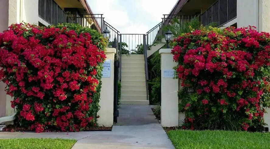 120 N M Street # L, FL 33460
