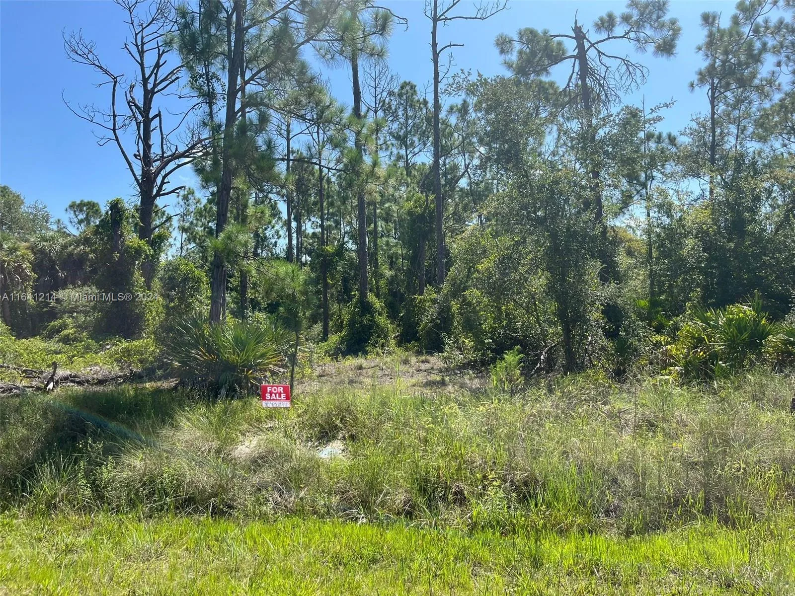 13118 Appleby Dr, Punta Gorda, FL 33955 photo 2