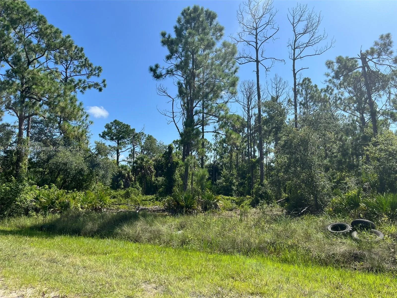 13118 Appleby Dr, Punta Gorda, FL 33955 photo 3