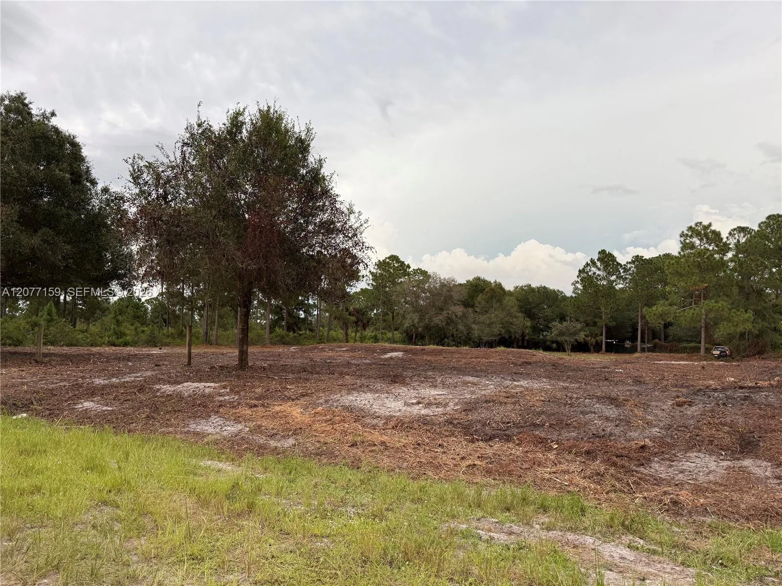 565 S PALOMINO ST, Clewiston, FL 33440 photo 12
