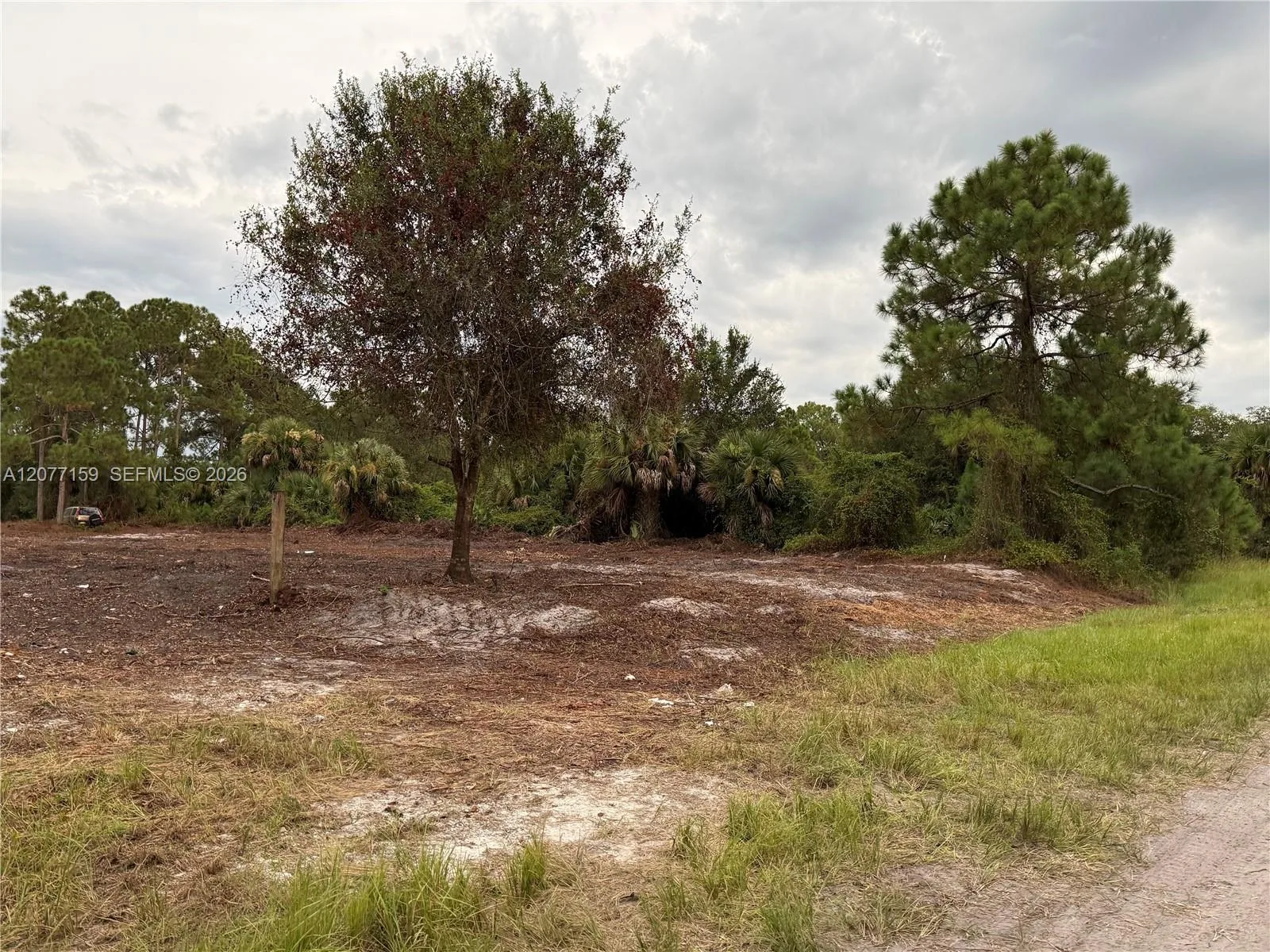 565 S PALOMINO ST, Clewiston, FL 33440 photo 13