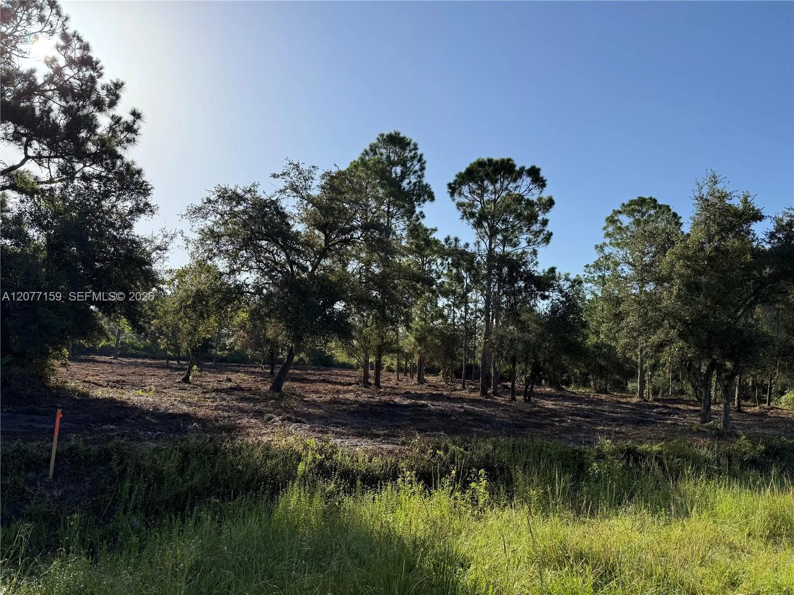 565 S PALOMINO ST, Clewiston, FL 33440 photo 2
