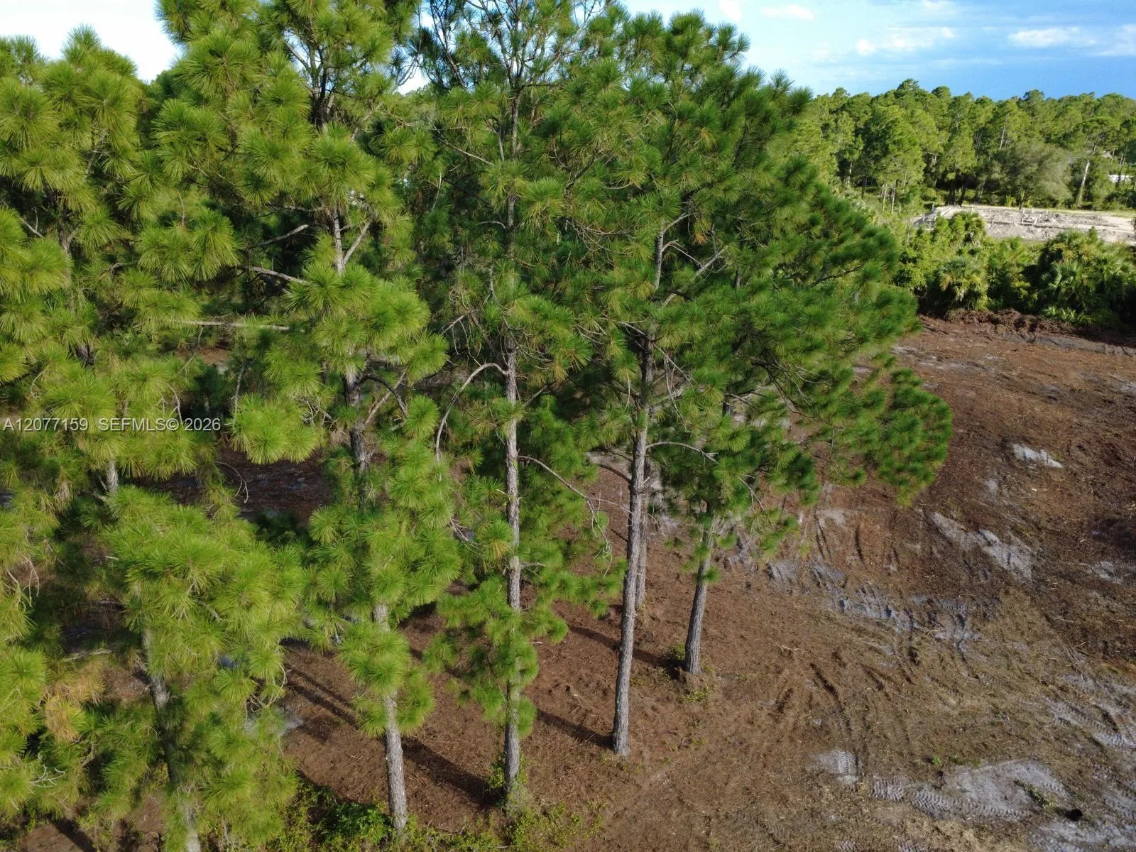 565 S PALOMINO ST, Clewiston, FL 33440 photo 7