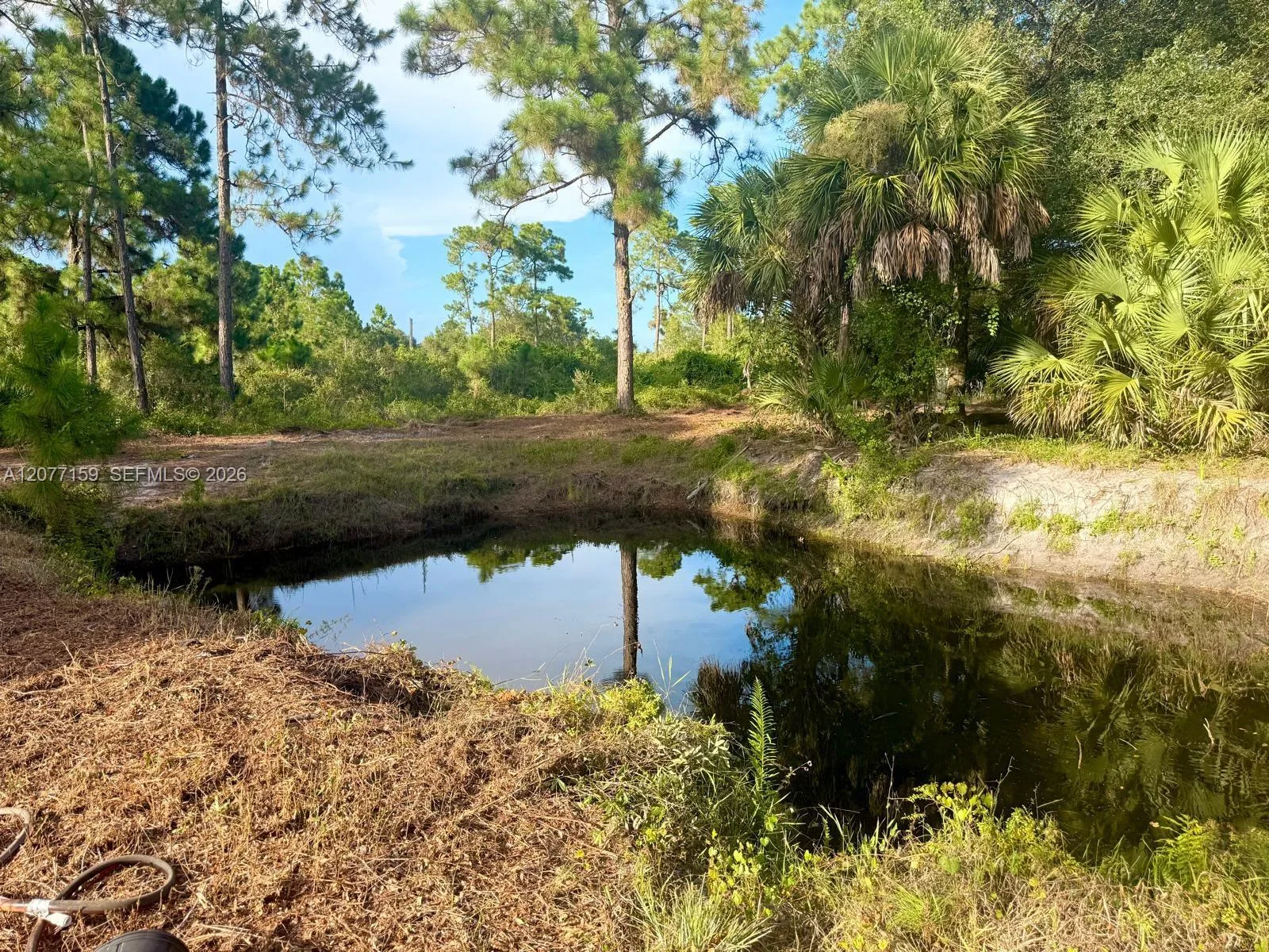 565 S PALOMINO ST, Clewiston, FL 33440 photo 8