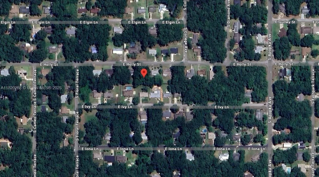 6122 E HOLLY ST, Inverness, FL 34452 photo 2