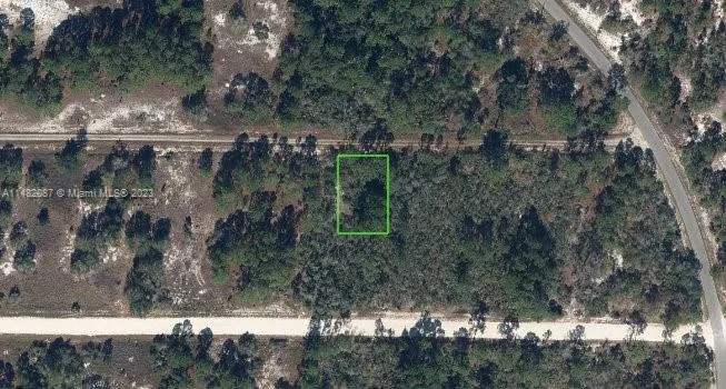 341 Moon River Ave, Lake Placid, FL 33852 photo 2